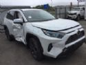 Toyota RAV4 XA50 2018-Present